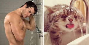 des-hommes-et-des-chatons-men-and-cats-25